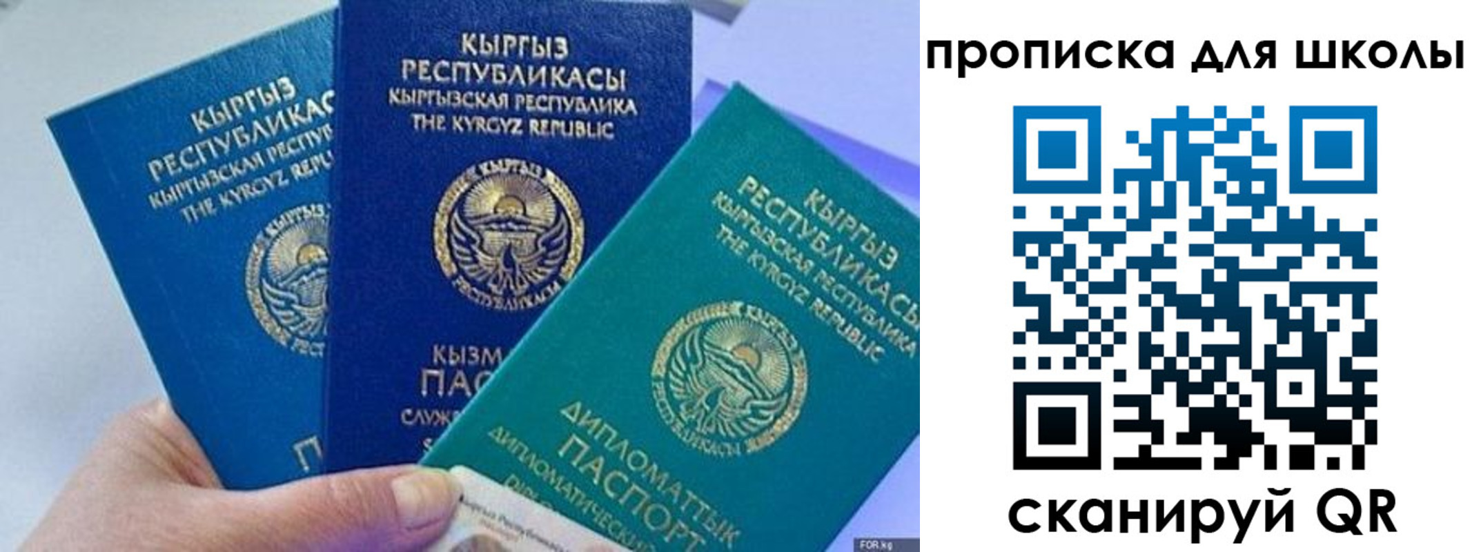 прописка регистрация в Кашине