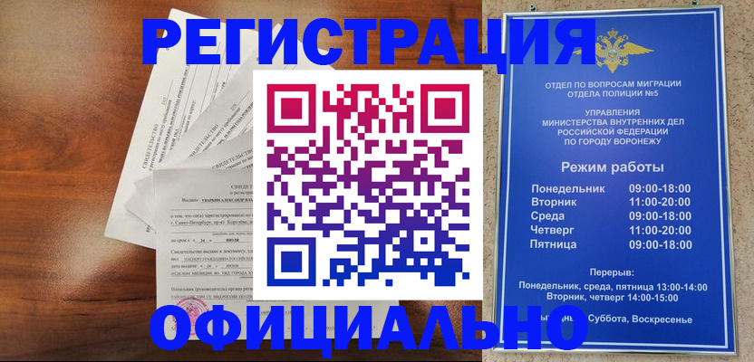 прописка поиск в Кашине